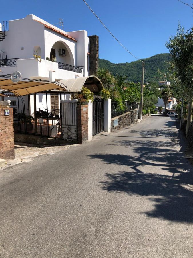 Il Nido Appartement Ischia Buitenkant foto